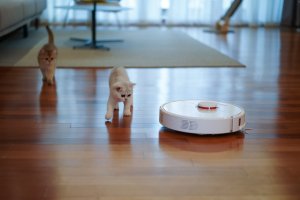 Should you Buy a Robot Vacuum?